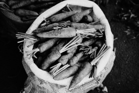 carrotsr